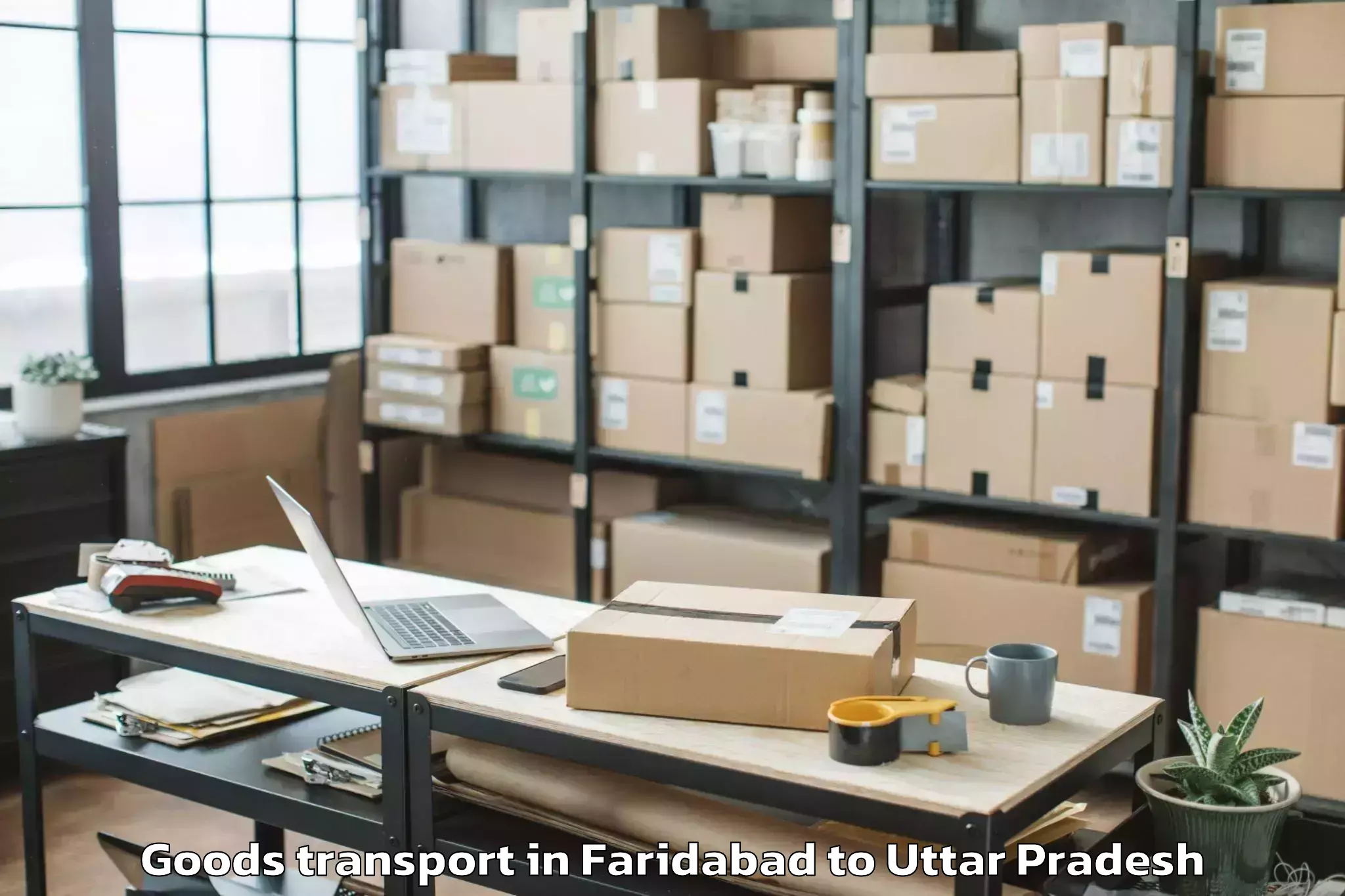 Reliable Faridabad to Invertis University Bareilly Goods Transport